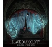 Black Oak County - Theatre Of The Mind [VINYL]