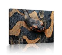 Black Orange Snake Canvas Wall Art Close up of Coiled Reptile Artwork Prints Wildlife Portrait Poster Painting Mural for Living Room Decor 75x100cm