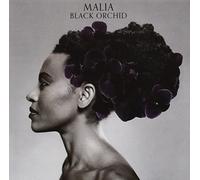Black Orchid by Malia