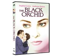 Black Orchid (DVD) Frank Puglia Peter Mark Richman Virginia Vincent (US IMPORT)