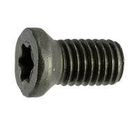 Black Oxide Star Drive Weaver Oval Head Gun Screws - 10 pcs. (8-40 x 1/4" T-15 Torx)