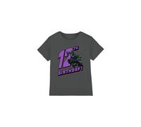 Black Panther Birthday 12 Kids T-Shirt Charcoal | Size: 5-6 Years Black Panther Charcoal 5-6 Years