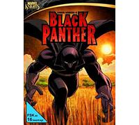 Black Panther (DVD)