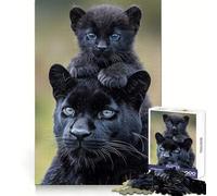 Black Panther Mother And Cub Portrait Puzzles for Teenagers 1000 Pieces Memory Power Mindful Escape Accurate Cut Memorable Gift (38x26cm)