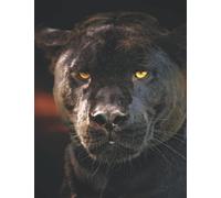 Black Panther Sketchbook: Large Notebook for Drawing, Writing, Painting, Sketching or Doodling. 150 blank pages with rounded borders. 8.5 x 11 inches (21.59 X 27.94 cm)