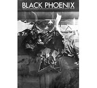 Black Phoenix: Third World Perspectives on Contemporary Art and Culture