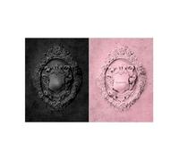 Black_Pink - 2nd Mini Album Kill this love CD (Random ver. (No Poster))