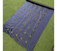 Black Plastic Mulch Film for Agricultural Vegetable Film, Plastic Mulch Film for Vegetable Gardens, Perforated Enhances Growth and Prevent Weeds(10m*1.35m)