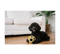 Black Poodles Dog Placemats 30x45cm Linen Heat Resistant Placemats Waterproof Table Place Mats Washable Wipeable Outdoor Placemat for Kitchen Dining Room Table Decorations