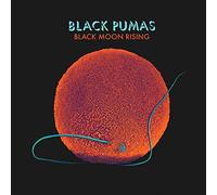 Black Pumas - Black Moon Rising / Fire [7" VINYL]
