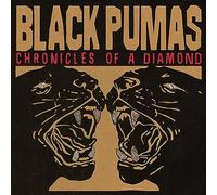 Black Pumas Chronicles of a Diamond (CD) (US IMPORT)