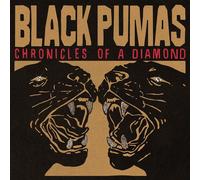 Black Pumas Chronicles of a Diamond (CD) (US IMPORT)