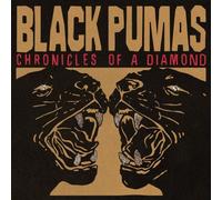 BLACK PUMAS - CHRONICLES OF A DIAMOND CLEAR VINYL - Vinyl Record - Z2z