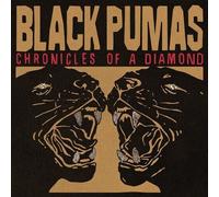 Black Pumas Chronicles of a Diamond (CD) (US IMPORT)