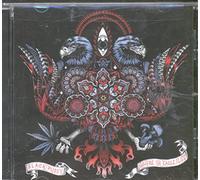 Black Pussy - Where The Eagle Flies