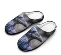 Black Raven Wild Funny Men's Cotton Slippers Soft Non-Slip Rubber Sole House Slipper Indoor Outdoor
