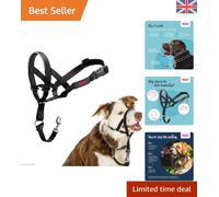 Black Reflective Headcollar for Medium Dogs - Adjustable No Pull Training Aid