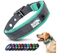 Black Rhino Dog Collar - Heavy-Duty Adjustable and Reflective Waterproof Comfort Collar - Soft Neoprene Padding Dog Collars Suitable for All Breeds - Ideal Fit for Active Dogs - Large, Aqua and Grey