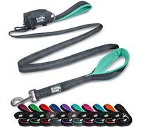 Black Rhino Dog Leash - Heavy Duty - Medium & Large Dogs | 6ft Long Leashes | Two Traffic Padded Comfort Handles for Safety Control Training - Double Handle Reflective Lead - (Aqua)
