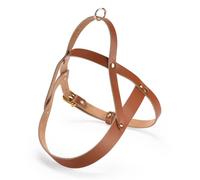 Black Rhino Leather Heavy Duty Dog Harness - Service Dog Vest - Padded Tactical Dog Harness - No Pull Dog Chest Harness Ideal for All Types of Dog Breed