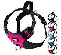 Black Rhino - The Comfort Dog Harness with Mesh Padded Vest for Small - Large Breeds | Adjustable | Reflective | 2 Leash Attachments on Chest & Back - Neoprene Padded Training Handle (Small, Pink/Bl)
