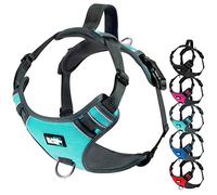 Black Rhino - The Comfort Dog Harness with Mesh Padded Vest for Small - Large Breeds | Adjustable | Reflective | 2 Leash Attachments on Chest & Back - Neoprene Padded Training Handle (Medium, Aqua/Gr)