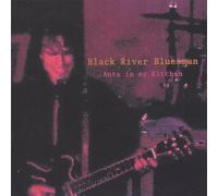 Black River Bluesman and the Cockroach Combo - Ants in My Kitchen