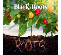 BLACK ROOTS: ROOTS (RSD 2025) - LP vinyl BRAND NEW