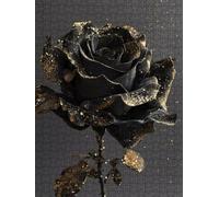 Black Rose Jigsaw Puzzle 4000 Piece, Puzzles for Adults 4000, The Impossible Challenge, Jigsaw Puzzle Games Classic Educational, Wooden Puzzles, for Home Wall Decoration Gift FNKL1-395
