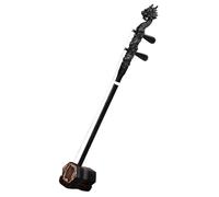Black Sandalwood Carved Dragon Head Erhu Chinese 2 String Violin With Case And Accessories Professional Erhu