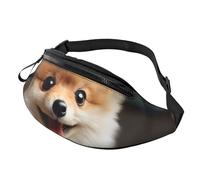Black silk Wrinkle Fanny Pack for Women Men Fashion Waist Pack Adjustable Belt Bag for Workout Running Travelling Casual Waist Bag, Cute Little Pomeranian, One Size