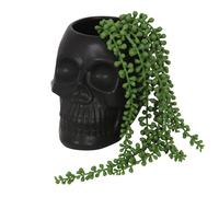 Something Different Plant Pot Black Skull – Black