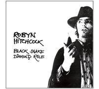 Black Snake Diamond Role by Robyn Hitchcock (2007-08-02)