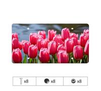 Black Sparkle License Plate Frame Pink Tulips By The Water License Plate Purple License Plate Frame Mercedes Benz License P