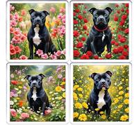 Black Staffy Coaster Set. 4 different Staffordshire Bull Terrier Dog Pictures on 10cm x 10cm Acrylic Coasters. Boxed Coaster Drip Mat Set.