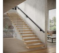 Black Stair Handrail for Walls - Industrial Stairs Railings Safety Grab Bar 1m 1.5m 2m 300cm 4m 5m 6m - Renmlion Metal Wrought Iron Banister Hand Rails for Villa Loft Corridor(18ft/540cm)