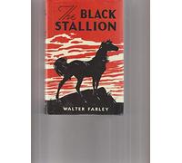 Black Stallion