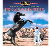 Black Stallion Returns [DVD] [1983] [Region 1] [US Import] [NTSC]