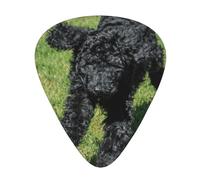 Black Standard Poodle,12 Pcs Guitar Pick,3 Different Thickness Plectrums for Acoustic Guitar Bass Ukulele (0.46mm 0.96mm 0.71mm)