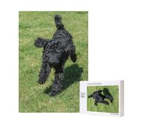 Black Standard Poodle,300 Pieces Wooden Jigsaw Family Game Jigsaw Puzzles for Adults Teens