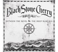 Black Stone Cherry Between the devil & the deep blue sea LP multicolor Onesize