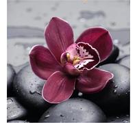 Black Stone Flower Jigsaw Puzzle 1000 Pieces 65x65cm/26x26inch, Difficult jigsaw puzzles for Adults 1000, Beautiful Art work, Great Festive Puzzle Gift for Men/Women