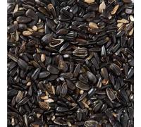 Black Sunflower Seed Premium Wild Bird Food Black Sunflower Seeds All Year-Round Birds Seed (6kg)