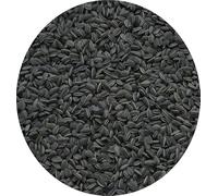 Black Sunflower Seed Wild Garden Bird Seed High Fat Content 10kg 5kg 3kg 2kg 1kg 500g (500g)