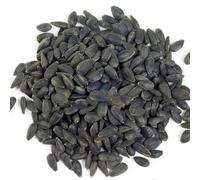 Black Sunflower Seeds 10kg