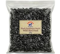 Black Sunflower Seeds for Birds 5kg | Bird Seed & Wild Bird Seed | Bird Seeds for Small Garden Birds | Gold Standard Wild Bird Food | Black Oil Sunflower Seeds | By Trusty Pet Supplies