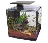 (Black) Superfish Qubiq Aquarium Nano Fish Tank Integrated Filter, Optional LED Light