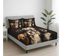 Black Supersoft Fitted Sheet - Easy Care with Elasticated Corners - Cosy & Comfortable Delicate Touch Photorealistic Dogs Gazing Up Excitement Fitted Sheet 135 x 190 x 30 cm - Fade Resistant