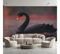 Black Swan Photo Wallpaper, Modern Animal Swan Wallpaper Mural, 500x350cm Wall Paper for Bedroom Living Room, Non-Woven Wall Mural Room Decor EL&D61