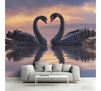Black Swan Wallpaper, Romantic Animal Wall Mural for Living Room, Bedroom, Non-Woven Wall Papaer Decoration, Photo Wallpaper & Home Decor, 500x350 cm (WxH) K-MZ&11